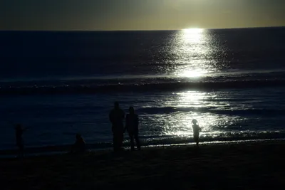 DSC_1209 (Large).JPG